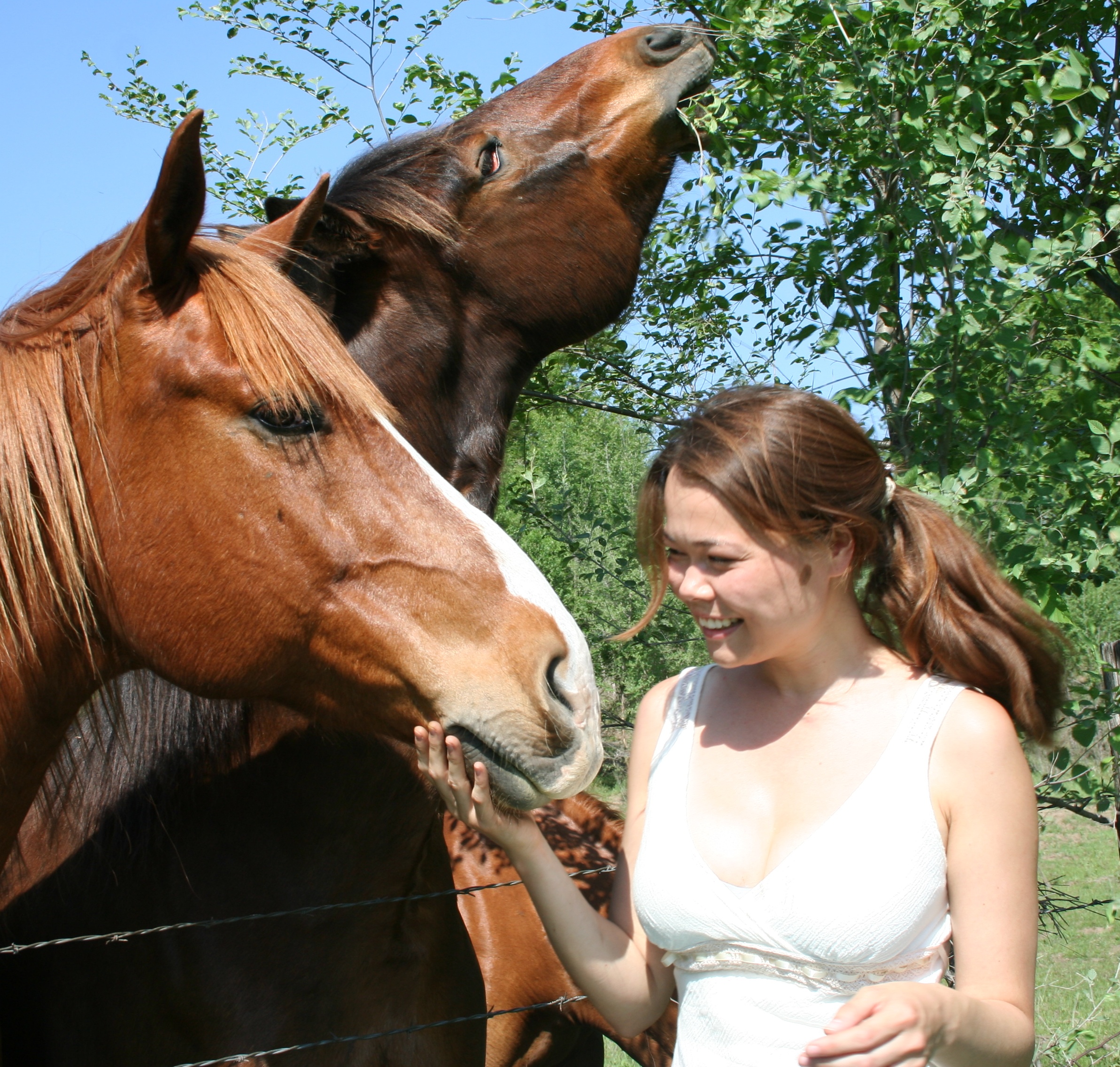 Jennie and Horses